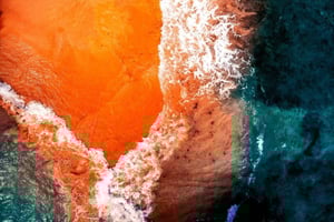 Wasini Island: Daytrip