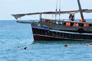 モンバサシュノーケリング、イルカウォッチング、シーフードランチ。