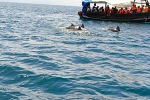 Wasini Island Tour for delfinsafari og snorkling