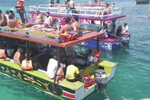 WATAMU,snorkel/avistamiento de delfines,marisco,crucero por la cala Mida