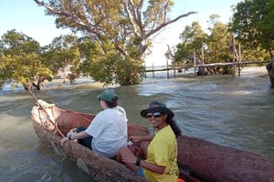 Watamu: Kanotur i mangroveskogen ved solnedgang med kokosnøttdrink