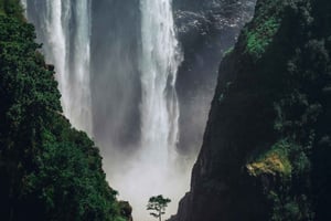Zambia: Halvdags hestesafari og lunsj ved Victoria Falls