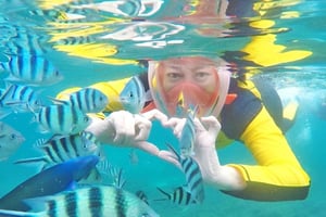 Dagsudflugt med snorkling på Koh Tao & Koh Nang Yuan