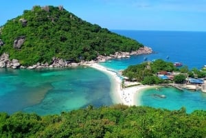 Fra Samui: Dagstur med hurtigbåt til Ko Tao og Koh Nang Yuan