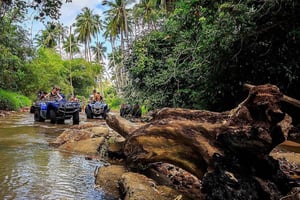 Koh Samui: ATV Quad Bike Safari Tour