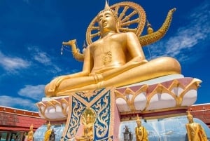 Koh Samui: Tour de medio día por lo más destacado de la isla con servicio de recogida del hotel