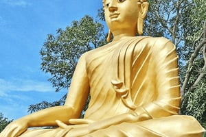 Koh Samui: Island Half Day Shore Excursion