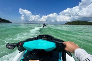 Koh Samui: Jetski-safari, snorkling til Pig & Virgin Islands