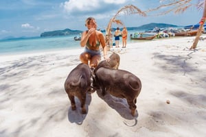 Koh Samui: Samu: Pig Island Private Longtail Boat Tour
