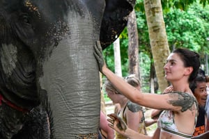 Koh Samui: Elephant Jungle Sanctuary Half-Day Tour