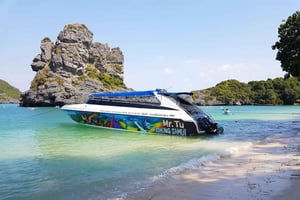 Samui: Mr. Tu's 3-Island Signature Boat Tour to Koh Nangyuan