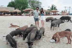 Samui: Privat luksustur med longtailbåt til Pig Island