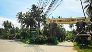 The Elephant Gate