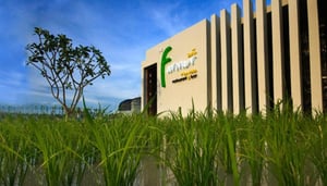 The Farmer Rice View Restaurant & Bar