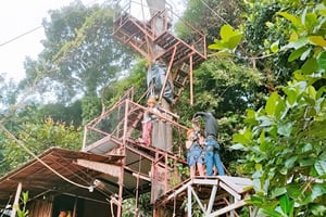 Zipline in Koh Samui Adventure activity tour