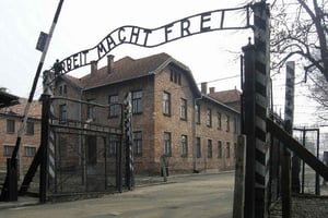 Excursión en coche privado a Auschwitz-Birkenau y Cracovia desde Katowice