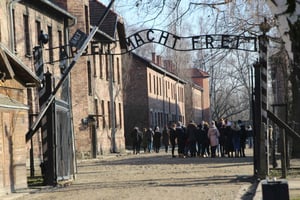 Da Cracovia: Auschwitz-Birkenau e tour guidato di un giorno