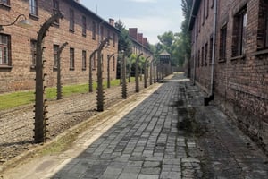 Z Krakowa: Jednodniowa wycieczka z przewodnikiem po kompleksie obozowym Auschwitz-Birkenau