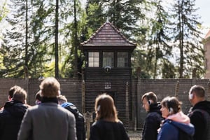 From Krakow: Auschwitz-Birkenau Full‑Day Guided Tour