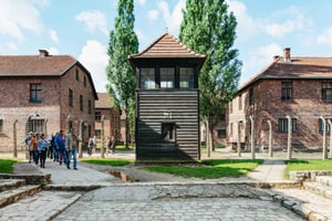 Depuis Cracovie : visite guidée d'Auschwitz-Birkenau et prise en charge à l'hôtel