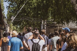 From Krakow: Auschwitz-Birkenau Guided Tour & Transportation