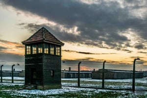 Fra Krakow: Auschwitz-Birkenau-tur med transport