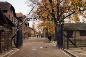 Vanuit Krakau: Auschwitz-Birkenau tour met transfer