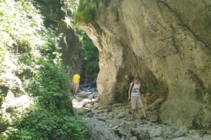 Från Krakow: Vandring i Tatrabergen och termalbad