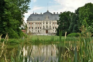 Vanuit Krakau: Dagtrip Pszczyna kasteel en bizonreservaat