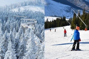 Von Krakau aus: Slovakia Treetop Walk & 4-Stunden-Skipass