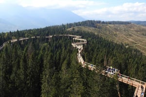 From Kraków: Slovakia Treetop Walk and Thermal Baths
