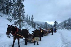 From Krakow: Zakopane Sleigh Ride Trip in Chochołów Valley