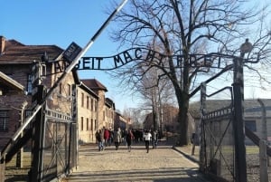 Vanuit Warschau: Auschwitz-Birkenau Tour met de auto
