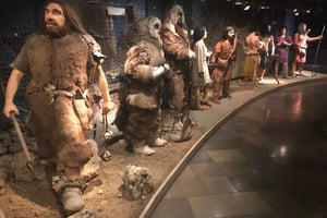 Cracovie : billet d'entrée pour le musée archéologique