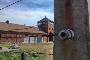 Fra Krakow: Auschwitz-Birkenau privat eller delt tur