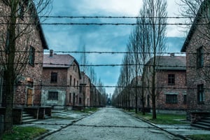 Fra Krakow: Auschwitz-Birkenau – omvisning med guide og henting