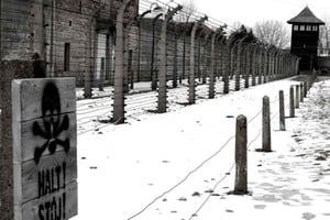 Krakow: Auschwitz-Birkenau Private Chauffeur Service