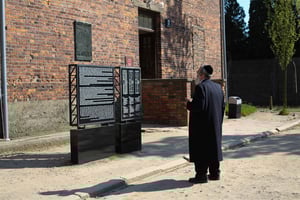 Cracóvia: visita guiada privada a Auschwitz-Birkenau