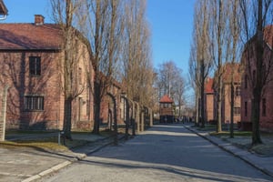 Krakow: Inngangsbillett og transport til Auschwitz-Birkenau