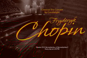 Krakow: Private Airport Transfer