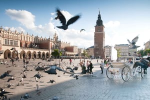 Krakow: privat heldagstur fra Warszawa