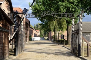 Vanuit Krakau: rondleiding Auschwitz-Birkenau en ophalen