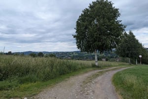 Krakau: Private Tagestour zum Skifahren in der Tatra