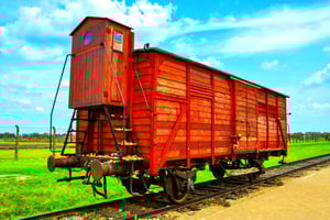 Kraków: Wieliczka saltgruva och Auschwitz-Birkenau Tour