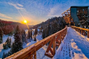 Krakow: Zakopane, Mountains Treetop Walk & Thermal Baths