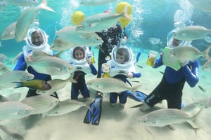 Costa Teguise : Expérience de trekking sous-marin