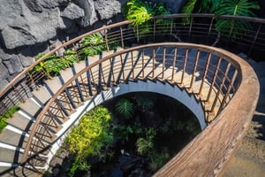 Lanzarote : visite privée « César Manrique, art et nature ».