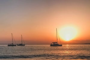 Lanzarote : Croisière d'observation des dauphins au coucher du soleil avec transferts