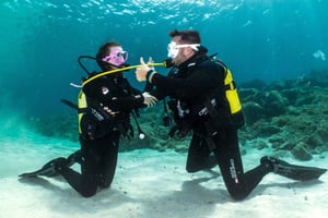 Lanzarote : cours de plongée SSI Open Water Diver