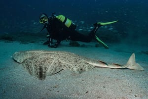 Лансароте: курс SSI Open Water Diver